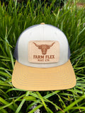Longhorn FF Patch Hat